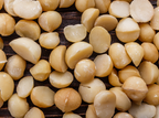 Macadamia en mitades