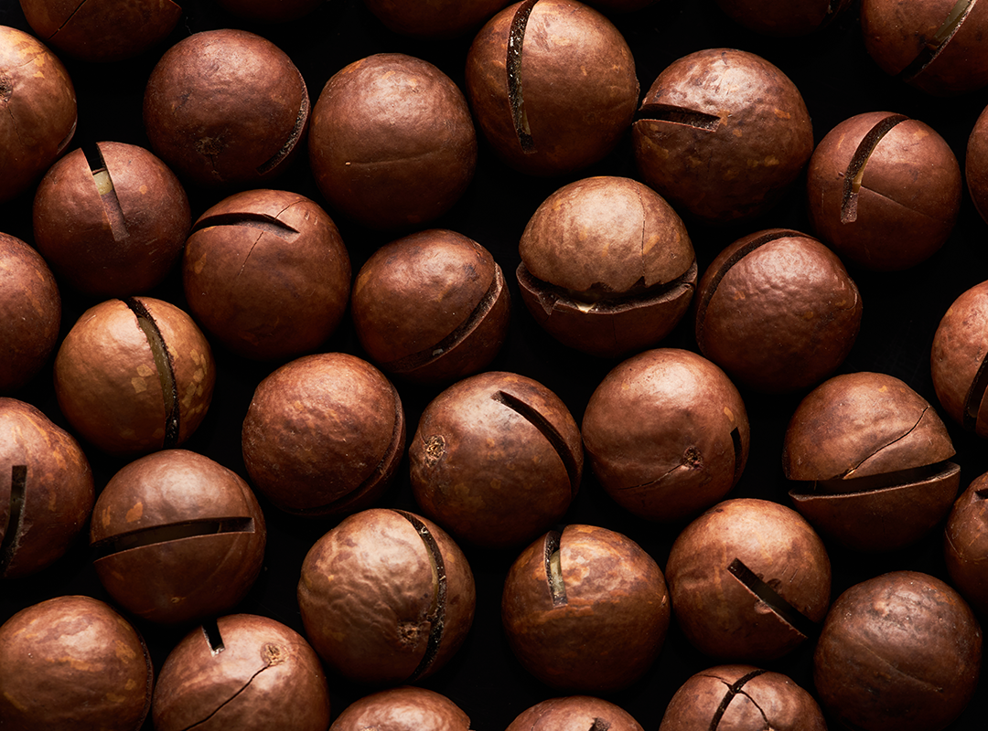 Macadamia entera