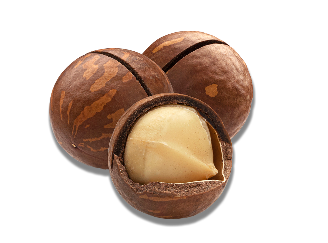 Macadamia entera